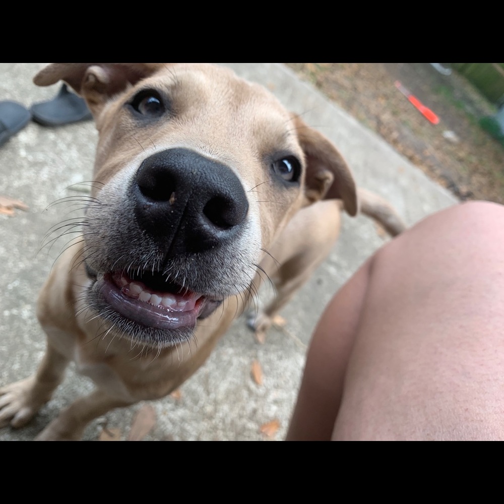 Meet your Posher, Catherine